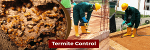 Termite Control services in kenya, Termite Control Kenya,Termite Exterminator Kenya,Termites Treatment Kenya, Best Termite Control Kenya, Termite Infestation Kenya, Termite Control Companies Kenya,Termite Pest Control Kenya, Professional Termite Control Kenya, DIY Termite Control Kenya, Organic Termite Control Kenya, Termite Control, Termite Exterminators, Termite Treatment, Termite Baiting, Termite Inspection, Termite Fumigation, Termite Prevention, Termite Damage Repair, Termite Pest Control, Termite Killer
