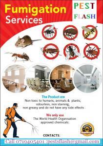 RATS CONTROL SERVICES IN NAIROBI KENYA, Rats Control in Kenya