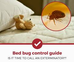 Kenya Pest Control, Kenya Pest Control Services, pesticides for bed bugs