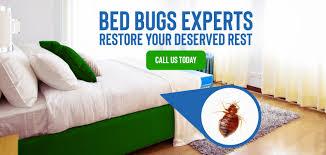 Fumigation Pest control services in Kenya
