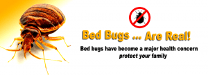 pest control service providers in kenya