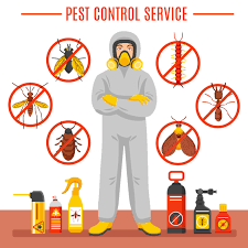 Pest Control Services In Nairobi Kenya, Pest control services in Nairobi, Nairobi pest control, fumigation in Nairobi, bees control in Nairobi