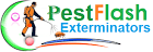pest coontrol companies in kenya, pest control companies in Kenya, Pest Control company in Nairobi, pest control, pest controller near me, fumigation services in Kenya