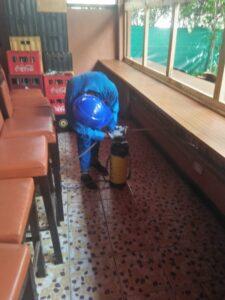 BEST INSECTICIDE FOR COCKROACHES IN KENYA. WHAT CHEMICAL KILLS COCKROACHES IN KENYA