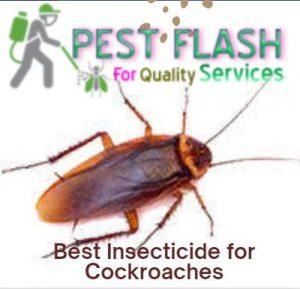 cockroach control insecticide