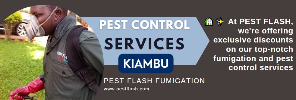 fumigation services in Kiambu, Fumigation in Kiambu, pest control in Kiambu, pest control and fumigation services in Kiambu,