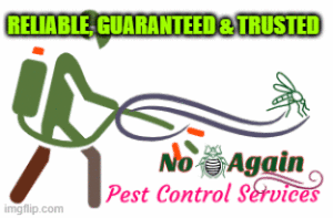 Fumigation in Kiambu, pest control in Kiambu, pest control and fumigation services in Kiambu, Ants Control in Kiambu, Bed Bugs Control in Kiambu, Cockroaches Control in Kiambu, Termite Control in Kiambu, Snakes Control in Kiambu, Mosquitoes control in Kiambu