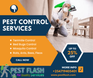 fumigation in Machakos county, fumigation services in Machakos, pest control services in Machakos, fumigation in Machakos