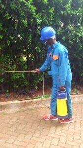 pest control in kayole Nairobi Kenya, fumigation in Kayole, pest control services in Kayole, pest control, pest control services.