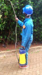 Fumigation in Kiambu and pest control in Kiambu, pest control and fumigation services in Kiambu, Ants Control in Kiambu, Bed Bugs Control in Kiambu, Cockroaches Control in Kiambu, Termite Control in Kiambu, Snakes Control in Kiambu, Mosquitoes control in Kiambu