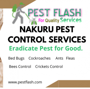 Nakuru Pest Control Services, pest control services in Nakuru, pest control services in Nakuru , fumigation services in Nakuru , Nakuru pest control services, pest control services in Nakuru , pest control services in Nakuru, pest control services in Nakuru Kenya, pest control services in Nakuru Kenya, fumigators in Nakuru, Nakuru fumigation services, pest control, fumigation in Nakuru, Fumigation services in Nakuru , pest control services, insect extermination services, bed bugs removal services, pest management services, residential fumigation services, commercial fumigation services in Nakuru, rodent control services in Nakuru, termite control services in Nakuru, mosquito control services in Nakuru, cockroach control services in Nakuru, pest eradication in Nakuru, pest treatment services in Nakuru, home fumigation services near Nakuru, professional fumigation services in Nakuru, local fumigation services in Nakuru, affordable fumigation services in Nakuru, hygienic fumigation services in Nakuru, eco-friendly fumigation services in Nakuru, Nakuru , fumigators in Nakuru, fumigation services in Nakuru contacts