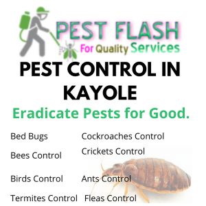 Pest Control in Kayole Kenya, fumigation in Kayole, pest control services in Kayole, Fumigators in Kayole