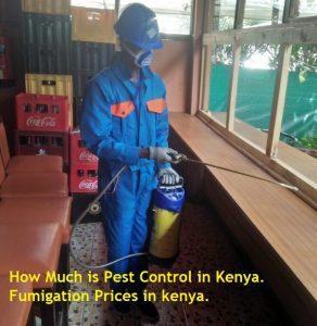  Pest Control Prices in Kenya, Pest Control Prices in Kenya, Fumigation Prices in Kenya, Pest Control Prices in Kenya, Fumigation prices in Kenya, how much is fumigation, how much does pest control cost in Kenya, what is the cost of cockroach control in Kenya, Cost of Bed Bugs Control in Kenya, cost of bats fumigation in Kenya, Cost of Bats control in Nakuru, cost of pesticides in Nairobi