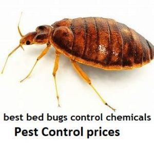 Pest Control Prices in Kenya, Fumigation prices in Kenya, how much is fumigation, how much does pest control cost in Kenya, what is the cost of cockroach control in Kenya, Cost of Bed Bugs Control in Kenya, cost of bats fumigation in Kenya, Cost of Bats control in Nakuru, cost of pesticides in Nairobi,Cost of cockroach control in Nairobi,cost of bed bugs control in kenya, fumigation prices in Nairobi Kenya ,pest control prices in Nairobi Kenya ,cost of termite control in Nairobi Kenya