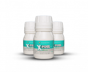 bed bugs control chemicals in Uganda