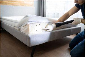 7 Ways To Control Bed Bugs Infestation At Your Space, Bed Bugs, how to control bed bugs