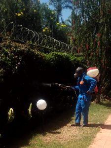 pest control services near me, pest control, fumigation services, pest control companies, best pest control, pest control cost, termite treatment, pest control services, termite control, affordable pest control, termite treatment cost, home pest control, pest control price, pest control services in Kenya, accurate pest control, pest services, all pest, pest control near me, exterminator, exterminator near me, bed bugs treatment, fly killer, wasp nest removal, termite inspection, pest control companies near me, best pest control near me, bee removal near me, pest control services near me, bee removal, bed bug exterminator near me, bug killer, rodent control near me, bee exterminator near me, rat exterminator near me