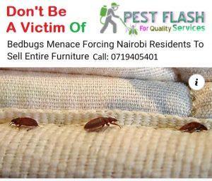 pest control services near me, fumigation company near me, bed bug control near me, cockroach control near me, pest control near me