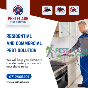 bed bugs control in Nakuru, pest control services in Nakuru, Nakuru pest control services, Cockroaches control in Nakuru, Bats control in Nakuru, Pest Control Company in Nakuru Kenya, Fumigation Services in Nakuru