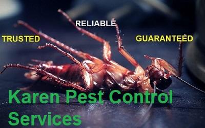 Karen Pest Control Services, Fumigation services in Karen Nairobi, Pest Control Services in Karen Nairobi, Pest control in Karen