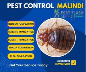 Pest extermination Malindi, Pest management Malindi, Rodent control Malindi, Ant control Malindi, Bed bug control Malindi, Termite control Malindi, Cockroach control Malindi, Spider control Malindi, Bee control Malindi, Pest control companies Malindi ,Exterminator Malindi, Fumigation services near me Malindi, Pest control services Malindi