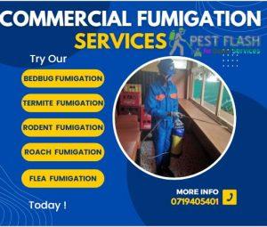 Commercial Fumigation Services in Kenya, Pest Control Services in Kenya, Commercial Fumigation Cost in Kenya, Fumigation Companies in Kenya, Fumigation Companies Nairobi, Pest Control Companies Kenya, Pest Control Services Prices in Kenya, Fumigation Services in Nairobi, Commercial Fumigation Companies in Kenya, Commercial Fumigation Companies Nairobi