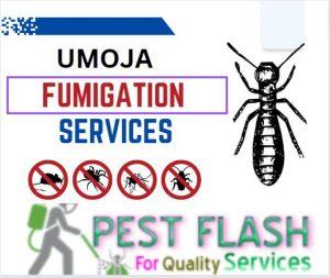 fumigation services in Umoja Nairobi Kenya, fumigators in Umoja, fumigation company in Umoja