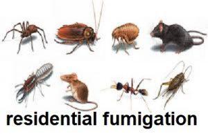 Residential fumigation services in Kenya, Residential fumigation companies in Kenya, Residential fumigation cost in Kenya, Residential fumigation methods in Kenya, Residential fumigation chemicals in Kenya, Residential fumigation regulations in Kenya, Residential fumigation safety in Kenya, Residential fumigation process in Kenya, Residential fumigation benefits in Kenya, Residential fumigation tips in Kenya