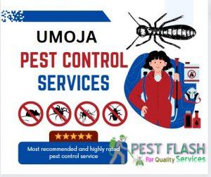 Umoja Pest Control Services, fumigation services in Umoja Nairobi, Pest Control Services in Umoja Nairobi Kenya.