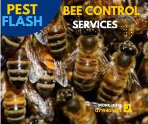 Bee Control Kenya, Bee Removal Kenya, Bee Extermination Kenya, Bee Pest Control Kenya, Bee Infestation Kenya, Bee Fumigation Kenya, Bee Pest Management Kenya, Bee Problem Solving Kenya, Bee Removal Services Kenya, Bee Prevention Kenya, Bees Control Services in Kenya