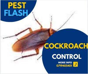 How to get rid of cockroaches, How to kill cockroaches, Cockroach control products, Natural cockroach control methods, Cockroach traps, Cockroach baits, Cockroach sprays, Cockroach exterminators, Cockroach infestation, Cockroach prevention, Cockroach repellent, Cockroach exterminator cost, Cockroach dust, Cockroach bait stations, Cockroach fogger,Cockroach extermination,Cockroach infestation, Cockroach pest control, Cockroach traps, Cockroach bait, Cockroach killer, Cockroach repellent, Cockroach spray,Cockroach control services, Cockroach control Kenya, Cockroach fumigation, Cockroach exterminator, Cockroach control products, Cockroach control methods, How to get rid of cockroaches in Kenya
