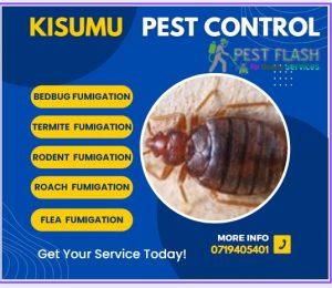 Pest Control Services in Kisumu, Fumigation Services in Kisumu, Pest Control Companies in Kisumu, Pest Extermination in Kisumu, Fumigation Companies in Kisumu, Rodent Control in Kisumu, Bed Bug Treatment in Kisumu, Termite Control in Kisumu, Mosquito Control in Kisumu, Pest Control Near Me in Kisumu, Professional Pest Control Services in Kisumu, Commercial Fumigation Services in Kisumu, Residential Pest Control Services in Kisumu, Pest Control Services Prices in Kisumu, Organic Pest Control in Kisumu, Pest Control Specialists in Kisumu, Industrial Fumigation Services in Kisumu, Fumigation Cost in Kisumu, Pest Control Kisumu, Fumigation Services Kisumu, Pest Exterminator Kisumu, Rodent Control Kisumu, Commercial Pest Control Kisumu, Termite Control Kisumu, Bed Bug Treatment Kisumu, Insect Control Kisumu, Fumigation Cost Kisumu, Pest Control Companies Kisumu