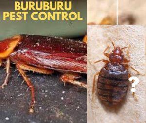 pest control buruburu, fumigation buruburu, pest control services buruburu