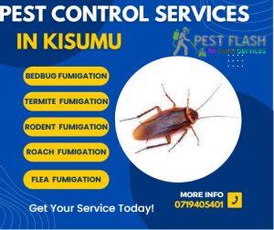 Pest Control Services in Kisumu, Fumigation Services in Kisumu, Pest Control Companies in Kisumu, Pest Extermination in Kisumu, Fumigation Companies in Kisumu, Rodent Control in Kisumu, Bed Bug Treatment in Kisumu, Termite Control in Kisumu, Mosquito Control in Kisumu, Pest Control Near Me in Kisumu, Professional Pest Control Services in Kisumu, Commercial Fumigation Services in Kisumu, Residential Pest Control Services in Kisumu, Pest Control Services Prices in Kisumu, Organic Pest Control in Kisumu, Pest Control Specialists in Kisumu, Industrial Fumigation Services in Kisumu, Fumigation Cost in Kisumu, Pest Control Kisumu, Fumigation Services Kisumu, Pest Exterminator Kisumu, Rodent Control Kisumu, Commercial Pest Control Kisumu, Termite Control Kisumu, Bed Bug Treatment Kisumu, Insect Control Kisumu, Fumigation Cost Kisumu, Pest Control Companies Kisumu