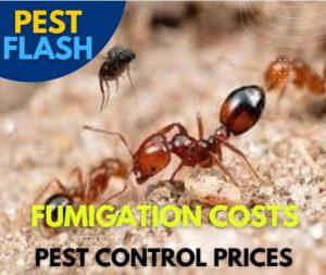 pest control prices in Kenya, fumigation costs in Kenya, fumigation prices