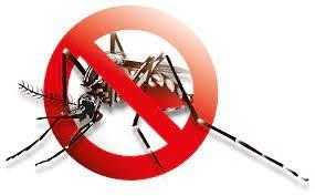 Mosquito Control Services, Mosquito Control Kenya, Mosquito Control Company, Mosquito Eradication Services, Mosquito Larvae Control, Mosquito Fogging, Mosquito Spraying, Mosquito Fogging, Mosquito Traps, Mosquito Nets, Mosquito Control Procedures, Mosquito Control Treatments, Mosquito Fumigation Pest Control Services