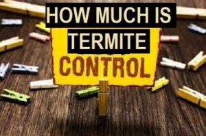 ermite Pest Control Cost, Termite Fumigation Cost, Home Termite Control Cost, Professional Termite Control Cost, Termite Control Companies Cost, Termite Control Treatment Cost, Termite Inspection Cost, Termite Prevention Cost, Termite Control Chemical, Termite Control Pesticide, Termite Treatment Chemicals, Termite Control Products, Termite Control Solution