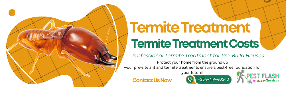 Termite treatment cost near me, Termite treatment cost near Nairobi, anti termite treatment price in kenya, Termite Treatment Price, Termite Exterminator Cost, Average Price for Termite Control, Termite Control Services Cost, Cost of Termite Treatment, Termite Treatment Cost Estimate, Termite Treatment Control Cost