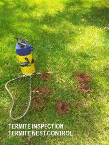 Termite Exterminator Near Me, Best termite company near me, Termite Control, Termite Treatment, Termite Removal, Termite Poison, Termite Extermination Cost, Termite Fumigation Cost, Termite Companies, cheapest termite treatment near me, termite treatment, Termite Inspection Cost,