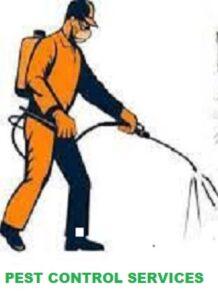 pest control services in South B ,pest control services in South C, pest control services in South B Nairobi, pest control services in South C Nairobi, fumigation services in South C Nairobi, fumigation services in South B Nairobi