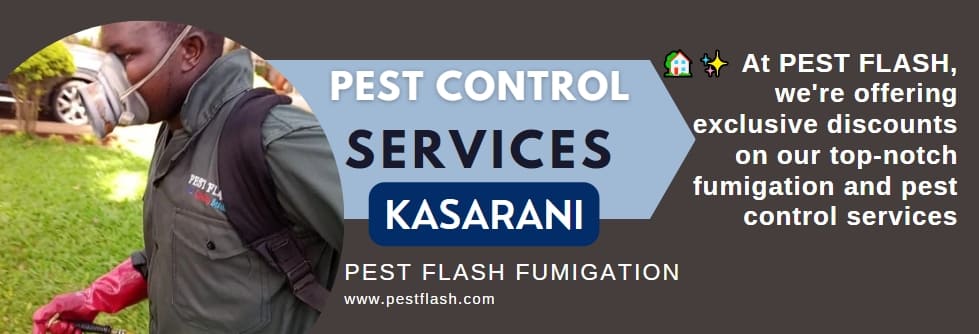 best fumigation services in Kasarani