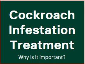 cockroach infestation treatment, how to get rid of cockroaches, cockroach control, cockroach control kenya