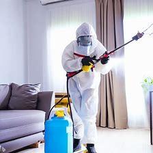 Langata fumigation services, pest control services in Langata, pest control Langata, pest control Langata Nairobi, fumigators in Langata Nairobi, pest control services, bed bug removal, insect control, rodent control, termite treatment, anti-termite control, cockroach removal, fumigation companies, fumigation price, pest control near me, pest control service providers, pest control rates, pest extermination, pest control for homes, fumigation and pest control,