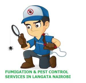 pest control services in Langata, pest control companies in Langata, best pest control in Langata, pest control Langata Nairobi, pest control services in Langata, pest exterminators in Langata, Langata pest control contacts, bed bugs control in Langata, termites control in Langata, pest control rates in Langata, Langata pest control reviews, residential pest control Langata, commercial pest control Langata, cockroach control in Langata, rodent control in Langata, 