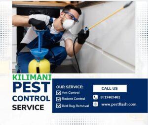 pest control services in Kilimani Nairobi Kenya, fumigators, fumigators in Kilimani, pest control near Kilimani