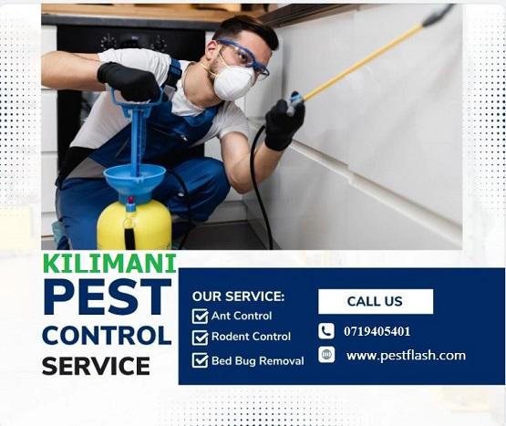 pest control services in Kilimani Nairobi Kenya, fumigators, fumigators in Kilimani, pest control near Kilimani