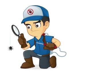 pest inspection, pest control, fumigation,