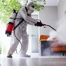 pest control services in Machakos, fumigation services in Machakos, pest control Machakos