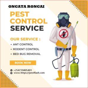 pest control services in Ongata Rongai, pest control ongata Rongai, Pest control near ongata Rongai, Pest control Rongai, fumigation in Rongai, fumigation services in Rongai, fumigation services near Rongai, fumigation services in rongai Nairobi, fumigator near Rongai, fumigators near ongata Rongai, Pest controller near ongata Rongai, Pest controllers in Rongai, Pest controller near Rongai, Pest control company near Rongai, Pest control rongai nairobi