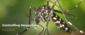 Mosquito control companies, Residential mosquito control, Mosquito extermination, Professional mosquito control, Mosquito management, Mosquito control for outdoor events, Natural mosquito control, Commercial mosquito control, Mosquito and tick control, Mosquito prevention services, Mosquito spraying services, Mosquito fogging services, Mosquito barrier treatments, Home mosquito control,
